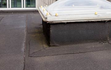 disadvantages of Castle Eden flat roofs