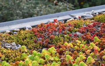 the cost of Castle Eden green roof installation