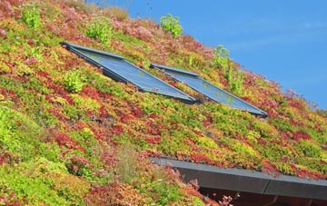Castle Eden living roof systems
