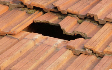 roof repair Castle Eden, County Durham